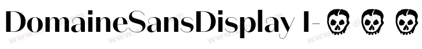 DomaineSansDisplay I字体转换